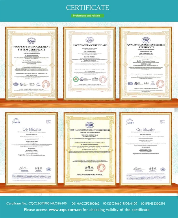 certification1 certification1