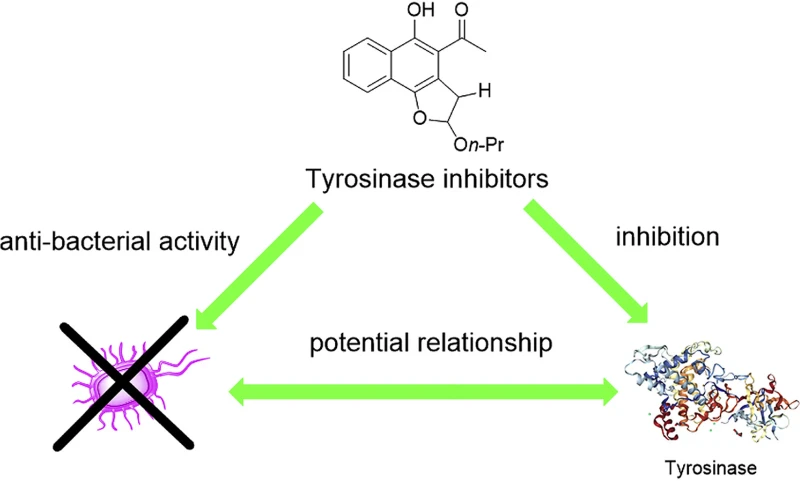Inhibition Of Tyrosinase Activity of Vine tea extract Inhibition Of Tyrosinase Activity of Vine tea extract